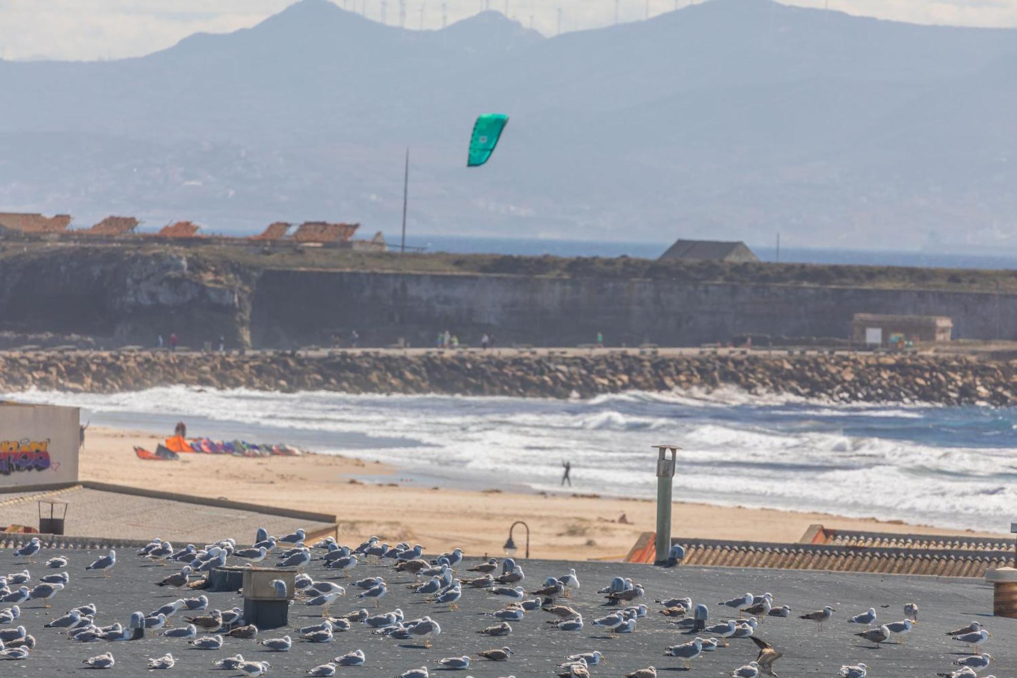 Los Lances Beach Apartments طريفة المظهر الخارجي الصورة